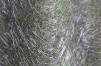 Kersey Upland fibreglass roof work